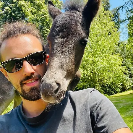 Couette-café Le Domaine Caribou Sainte-Opportune-la-Mare