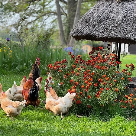 Le Domaine Caribou 3* Sainte-Opportune-la-Mare