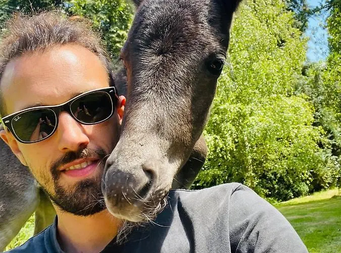 Couette-café Le Domaine Caribou Sainte-Opportune-la-Mare