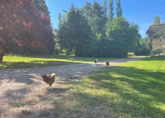 Le Domaine Caribou Couette-café 3*