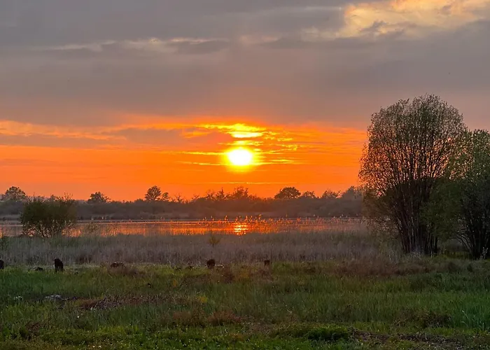 Couette-café Le Domaine Caribou Sainte-Opportune-la-Mare