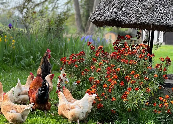 Le Domaine Caribou 3* Sainte-Opportune-la-Mare